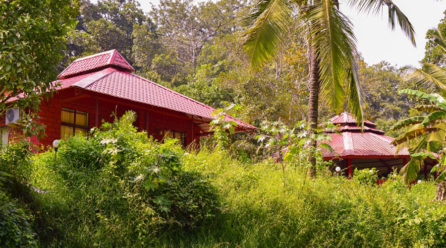 emerald homestay dandeli
