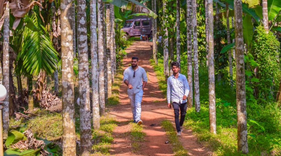 emerald homestay dandeli