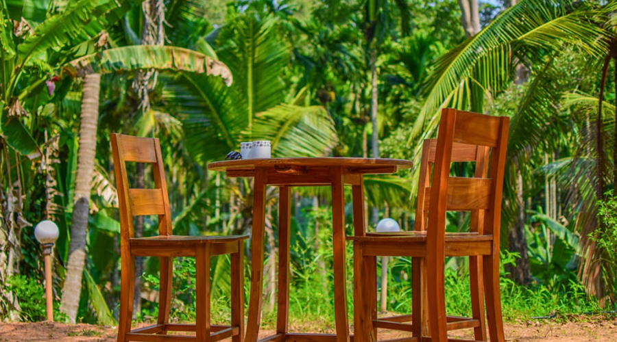emerald homestay dandeli