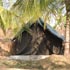 Oakward jungle homestay
