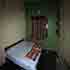 Oakward jungle homestay