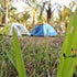 Oakward jungle homestay