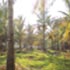 Oakward jungle homestay
