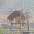 Oakward jungle homestay