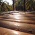 Oakward jungle homestay