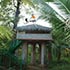 Oakward jungle homestay