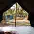 Oakward jungle homestay