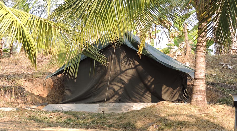 Oakward jungle homestay