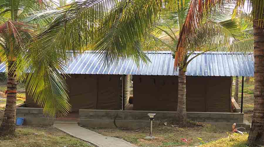 Oakward jungle homestay