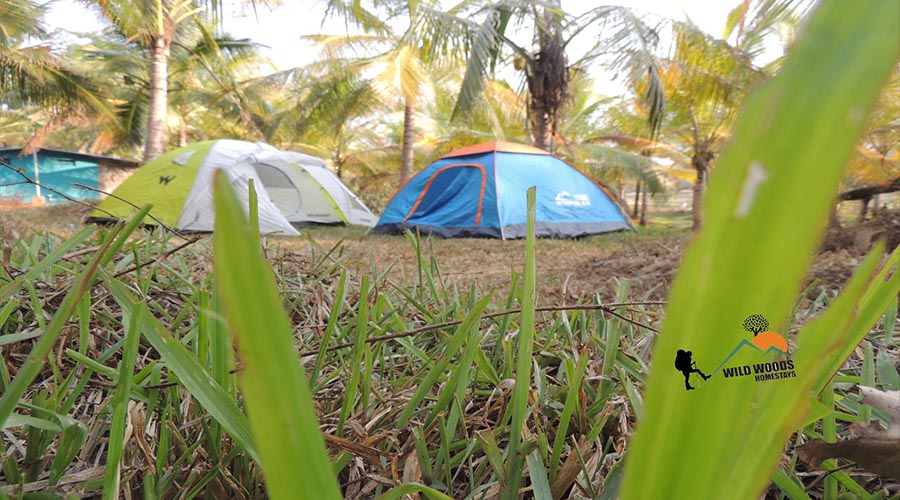 Oakward jungle homestay
