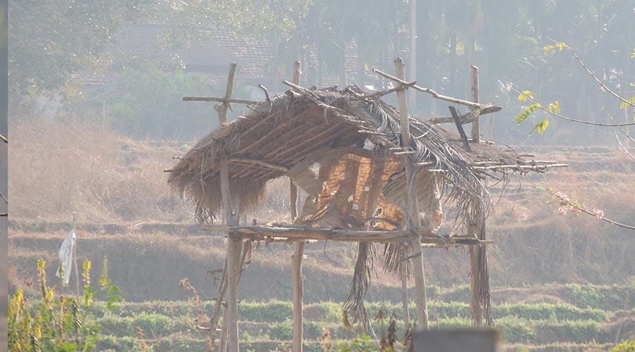 Oakward jungle homestay