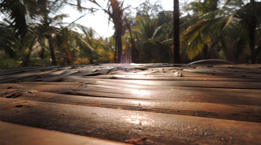 Oakward jungle homestay