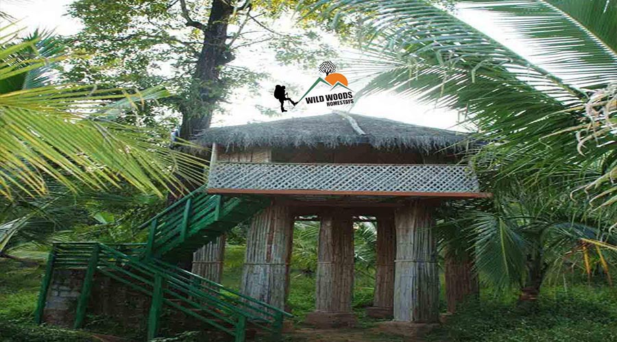 Oakward jungle homestay