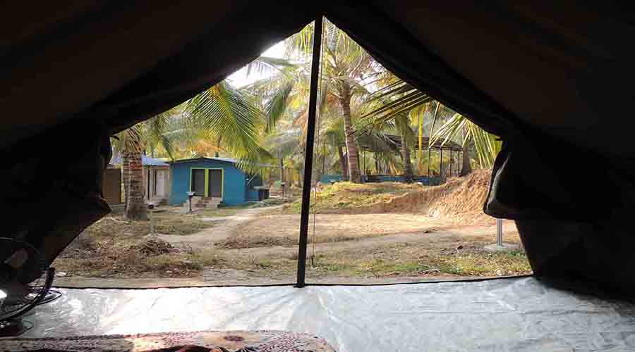 Oakward jungle homestay