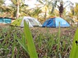 Dandeli Tent Stay