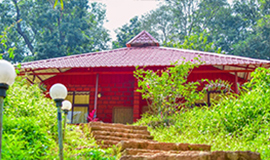 woodpecker homestay dandeli