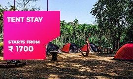 nature homestay dandeli