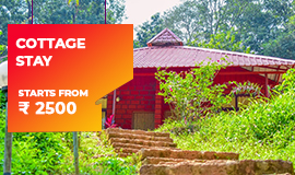 nature homestay dandeli