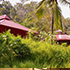 nature homestay dandeli