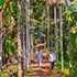 nature homestay dandeli