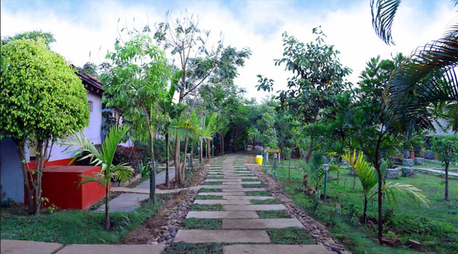 Century Resort Dandeli