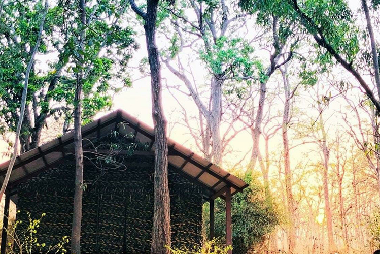 dew drops dandeli resort