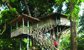 dandeli resort package