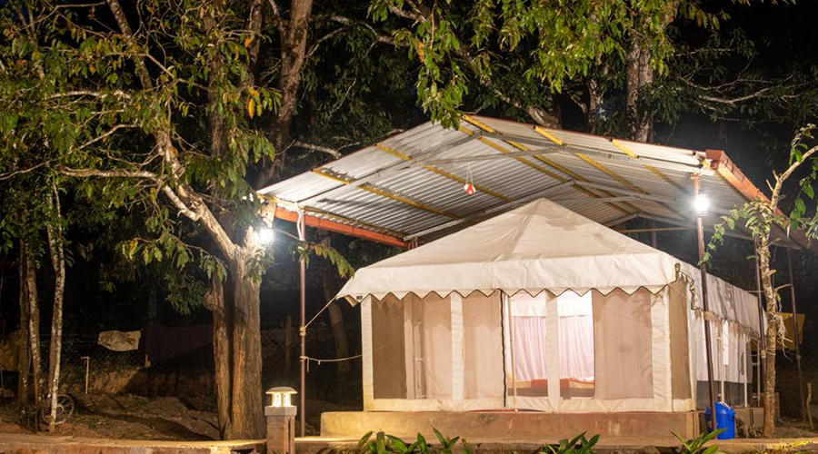 luxury swimming pool resort in dandeli