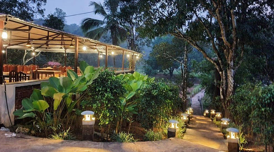 luxury swimming pool resort in dandeli