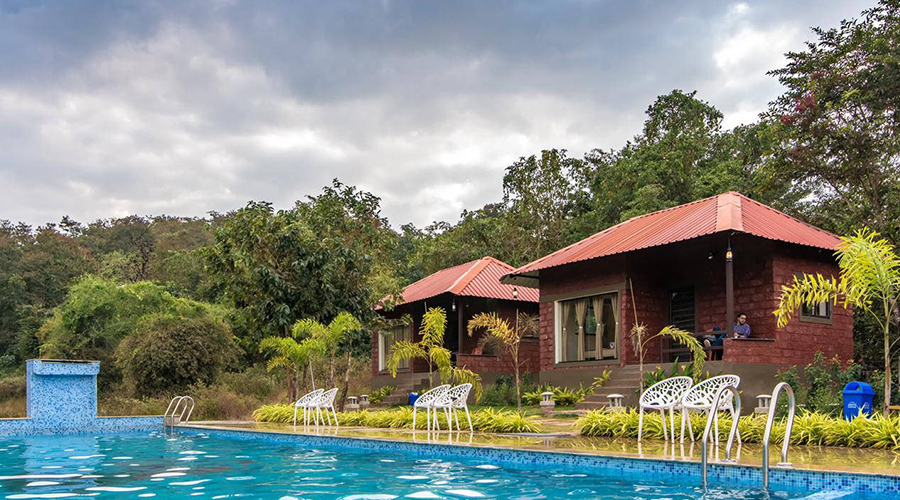 luxury swimming pool resort in dandeli