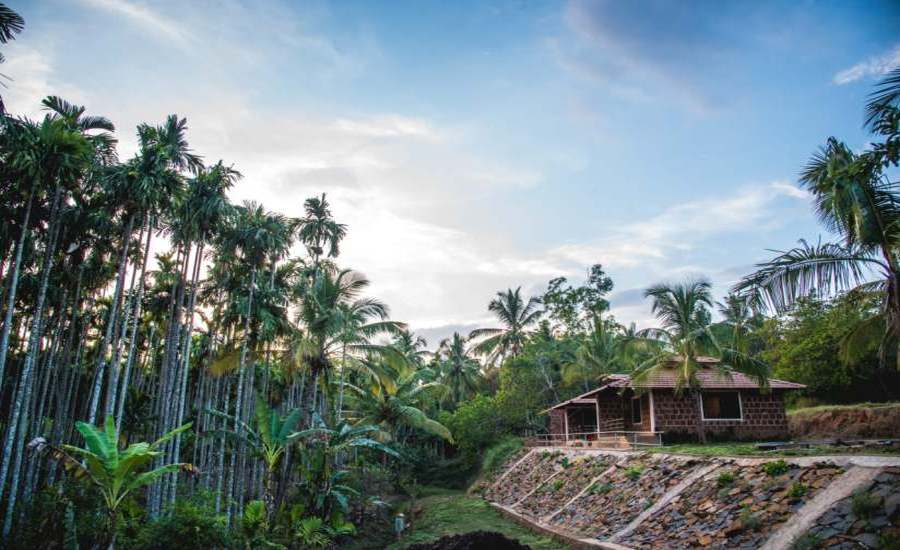 Pepper Paradise Homestay