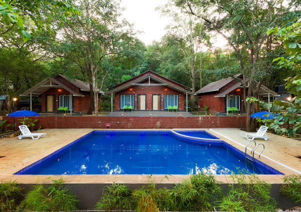 Rain Forest Dandeli