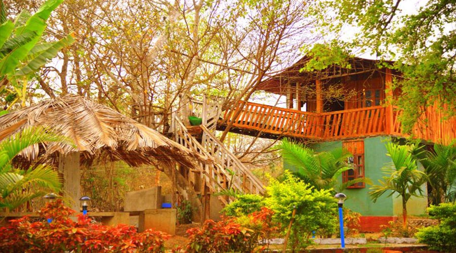 rangers camp dandeli