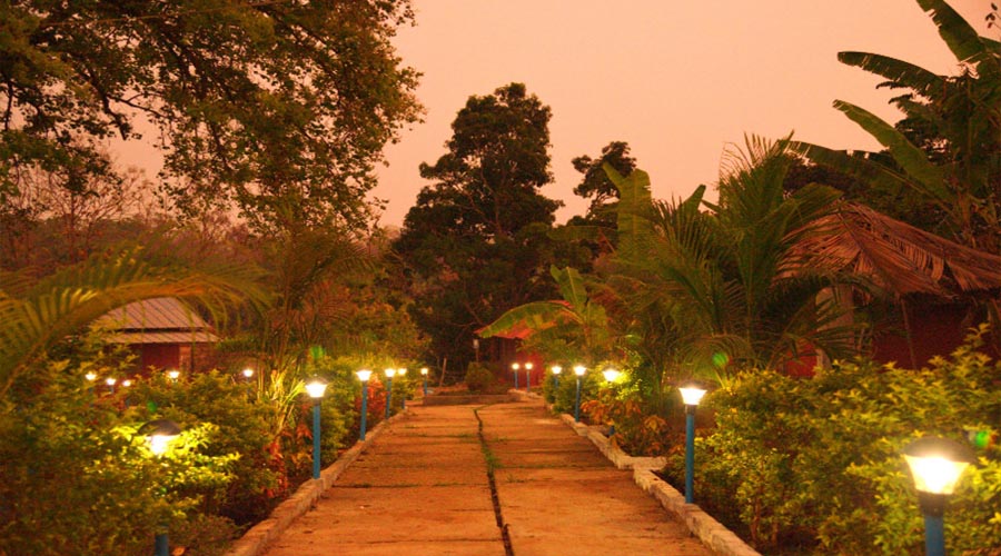 rangers camp dandeli
