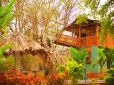 Dandeli Tent Stay