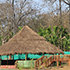 jungle nest dandeli