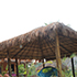 jungle nest dandeli