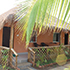 jungle nest dandeli