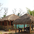 jungle nest dandeli