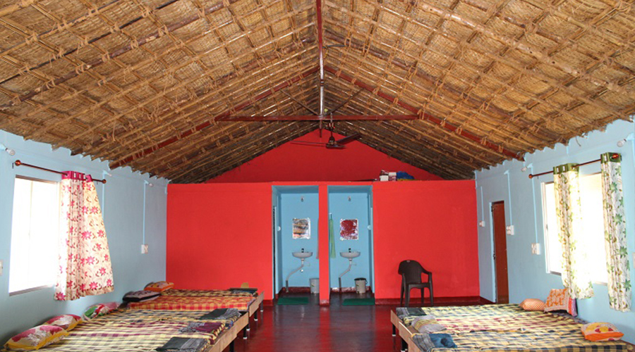 jungle nest dandeli