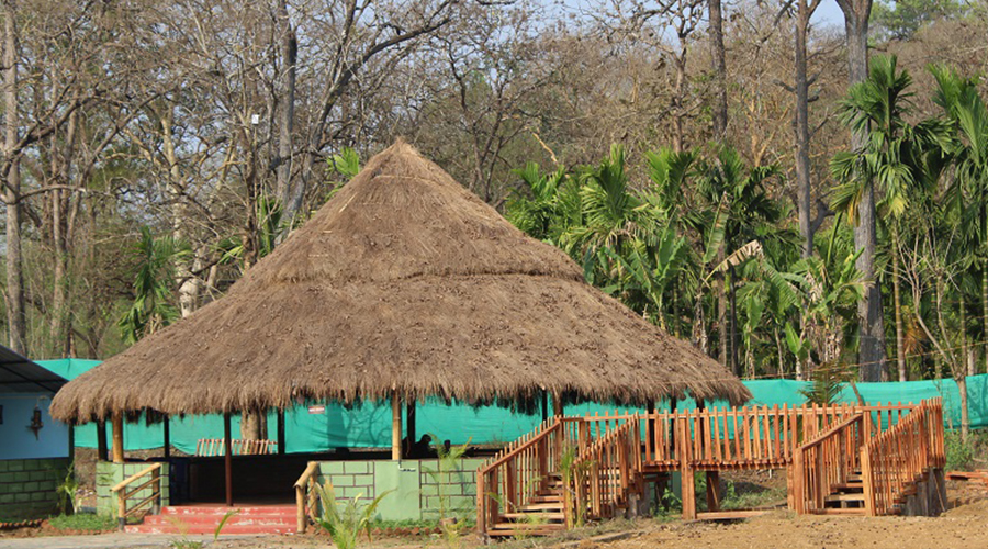 jungle nest dandeli
