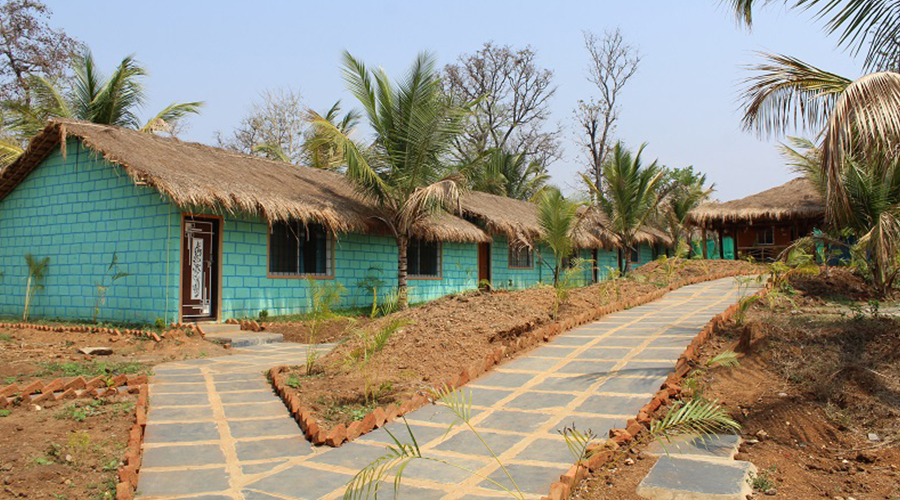 jungle nest dandeli