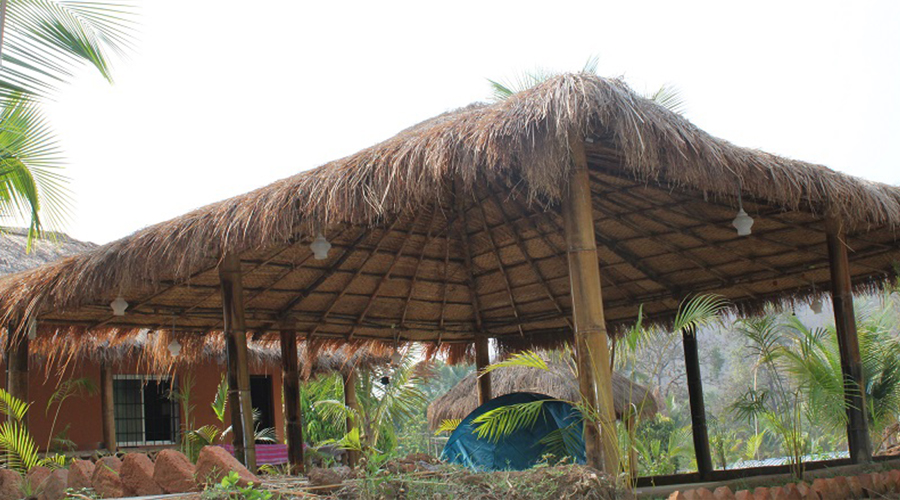 jungle nest dandeli