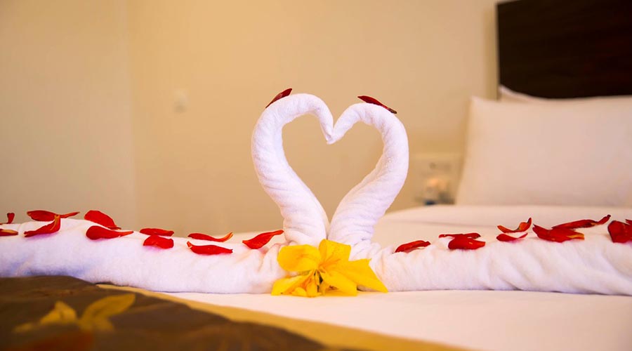 supreme plaza dandeli  