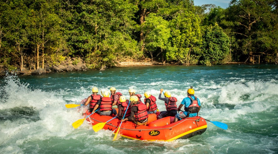 the baniyan cottage dandeli