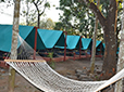 Dandeli Tent Stay