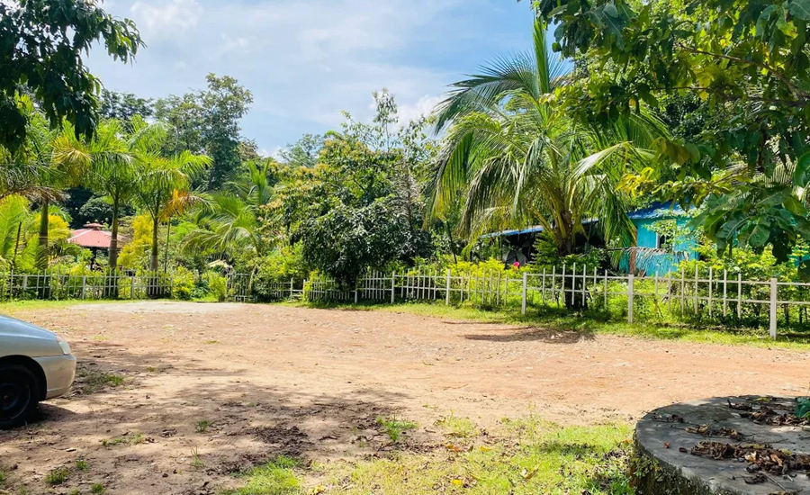white elephant cottage dandeli