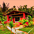 pune to dandeli package