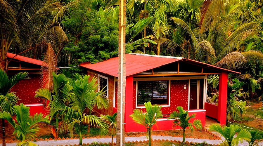 pune to dandeli package
