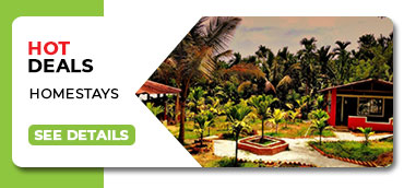 dandeli homestay package